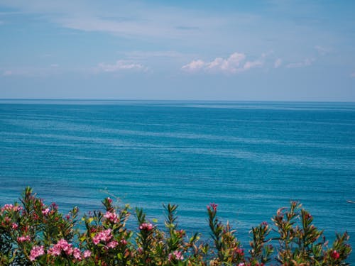 Kostenloses Stock Foto zu friedlich, friedvoll, horizont