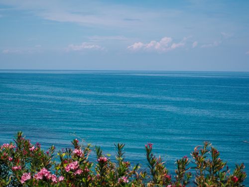 Free Serene ocean view with colorful flowers in the foreground, perfect for tranquil escapes. Stock Photo