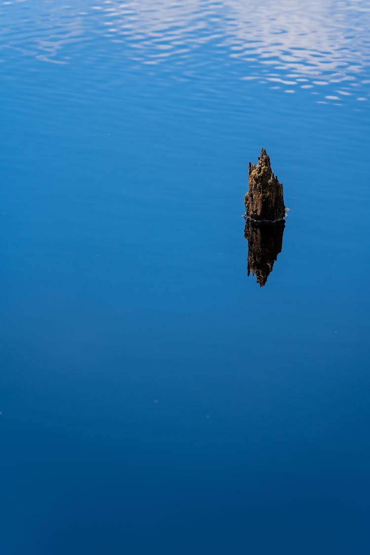 Wood On A Blue Water 