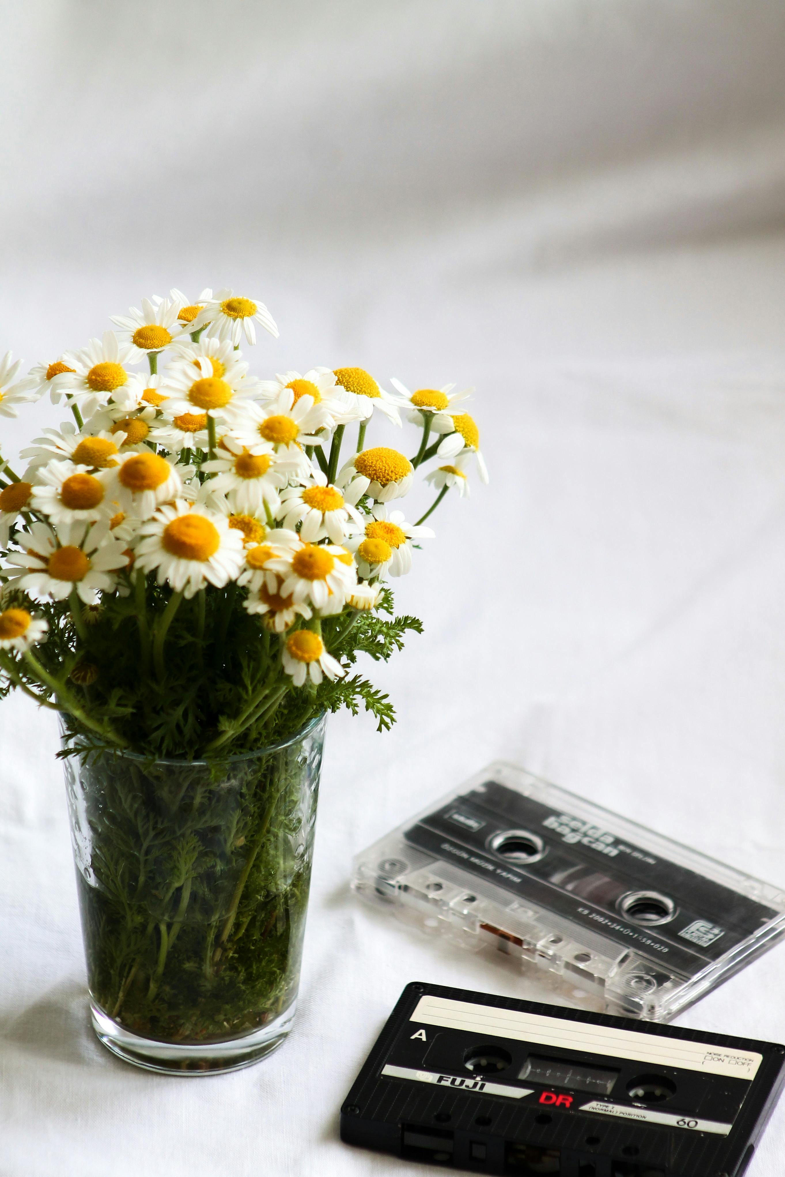 A vase of daisies beside vintage cassette tapes evokes nostalgia and freshness.