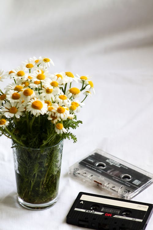 Daisy Flowers in a Clear Glass Vase beside Cassette Tapes 