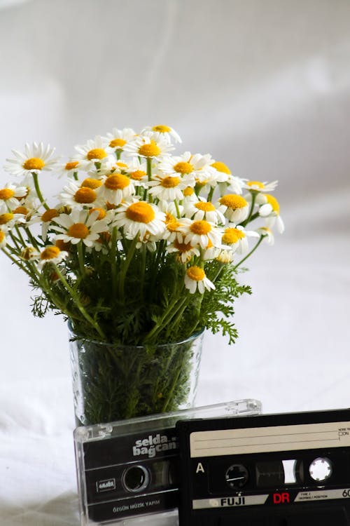 Daisy Flowers in a Clear Glass Vase and Cassette Tapes