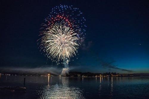 Red, Blue, and White Firework Display