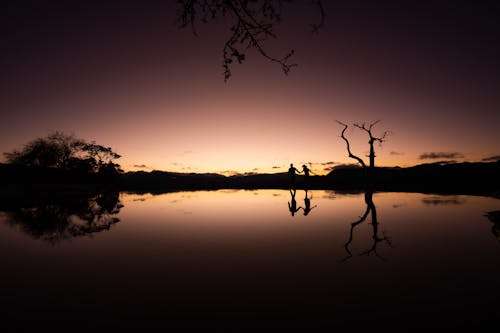 Silhouette of Couple running on Lakeside during Dusk 