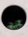 Green Leafed Plant Decorative Plate