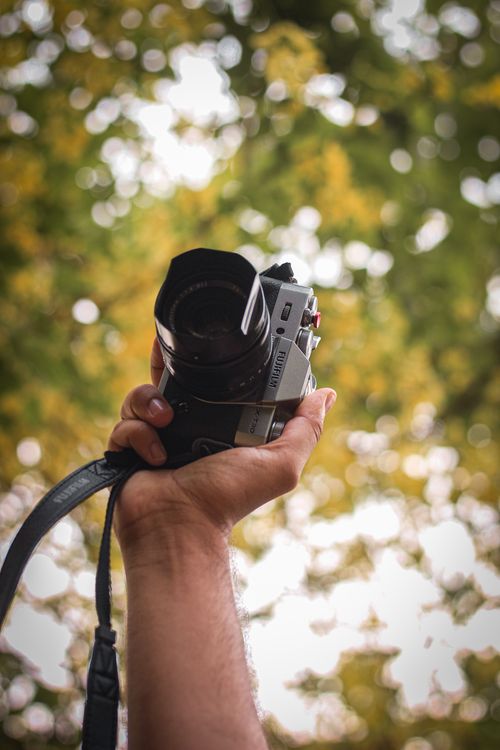 Free A person's hand holding a camera with a blurred green foliage background, capturing a nature scene. Stock Photo