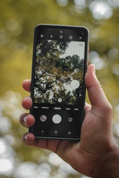 A hand holding a smartphone capturing trees, showcasing photography innovation in Delhi.