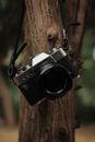 fujifilm Xt30 camera