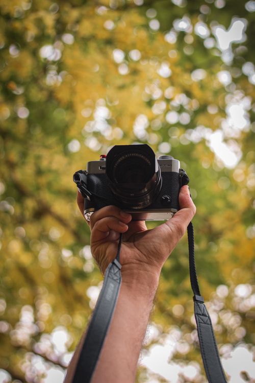 Free A camera is held up against a backdrop of yellow autumn leaves outdoors. Stock Photo
