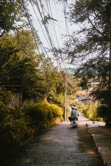 Two adults riding a scooter on a serene countryside path, surrounded by lush greenery.