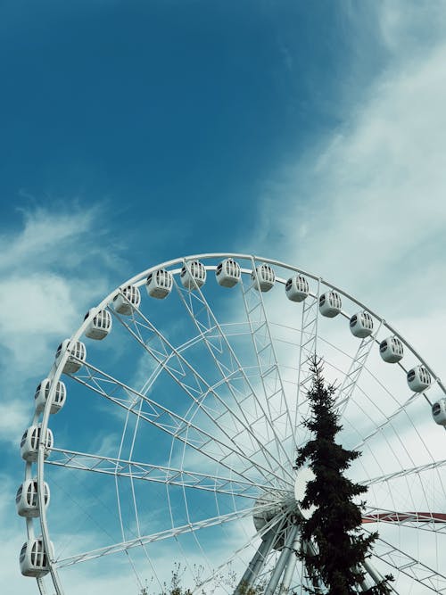 White Ferris Wheel Under the Sky