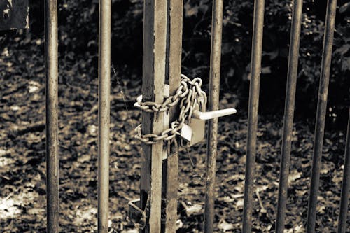 Free stock photo of black and white, chains, gate