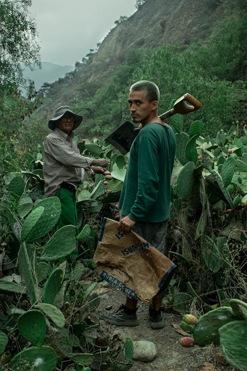 Two Men Working at a Cropland