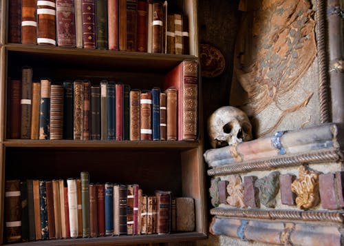 人类头骨, 古董书籍, 城堡 的 免费素材图片