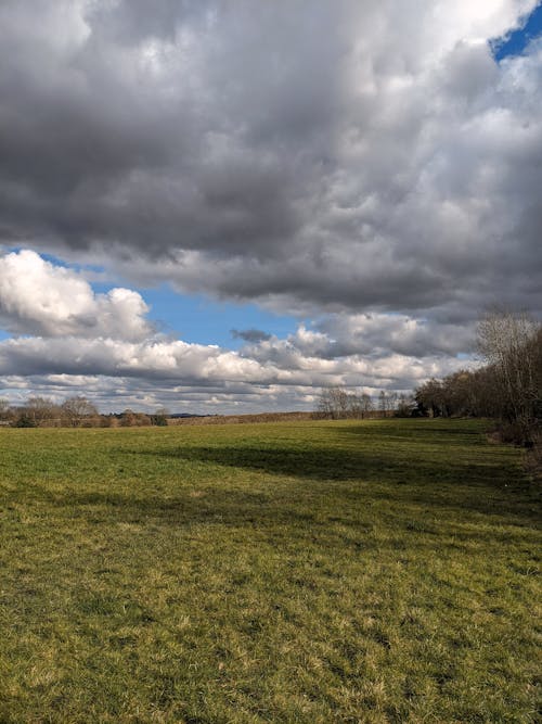 Thick Cumulus Clouds over the Grass Field