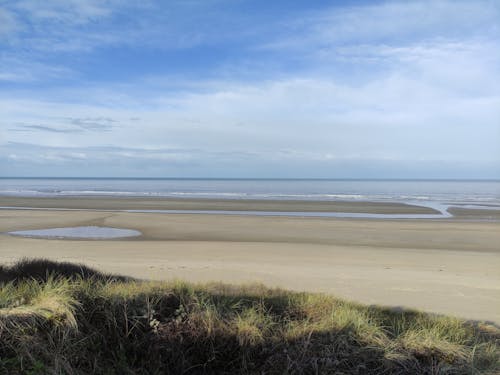 Beach Under Blue and Cloudy Sky