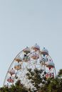 White and Red Ferris Wheel