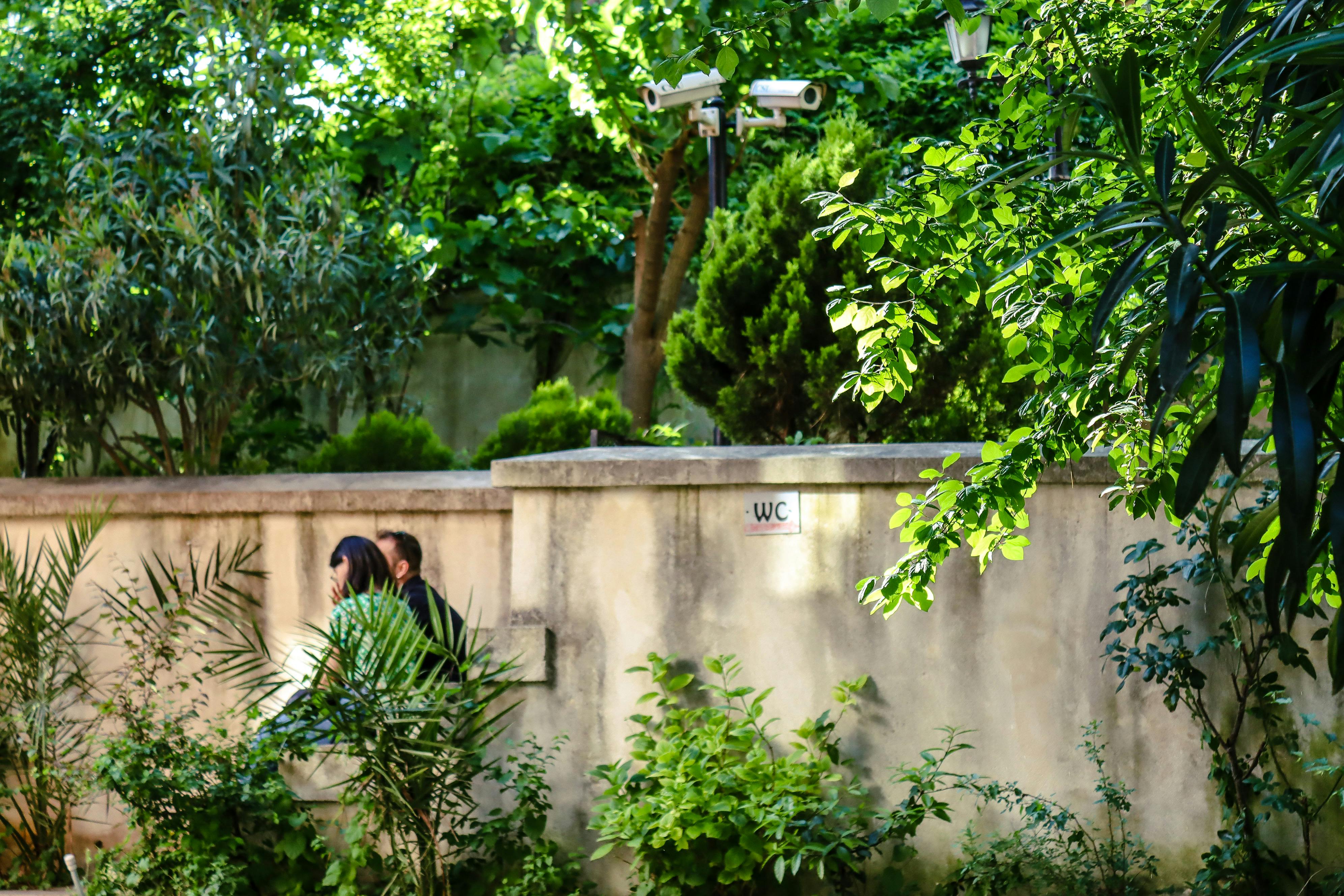 people walking beside a wall under a tree