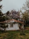 White Concrete House Near Trees