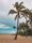 palm beach