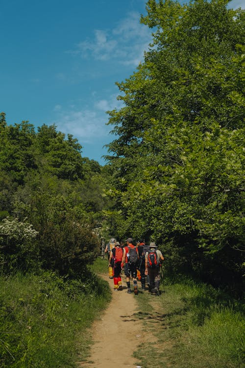 People Walking in an Unpaved Pathway 