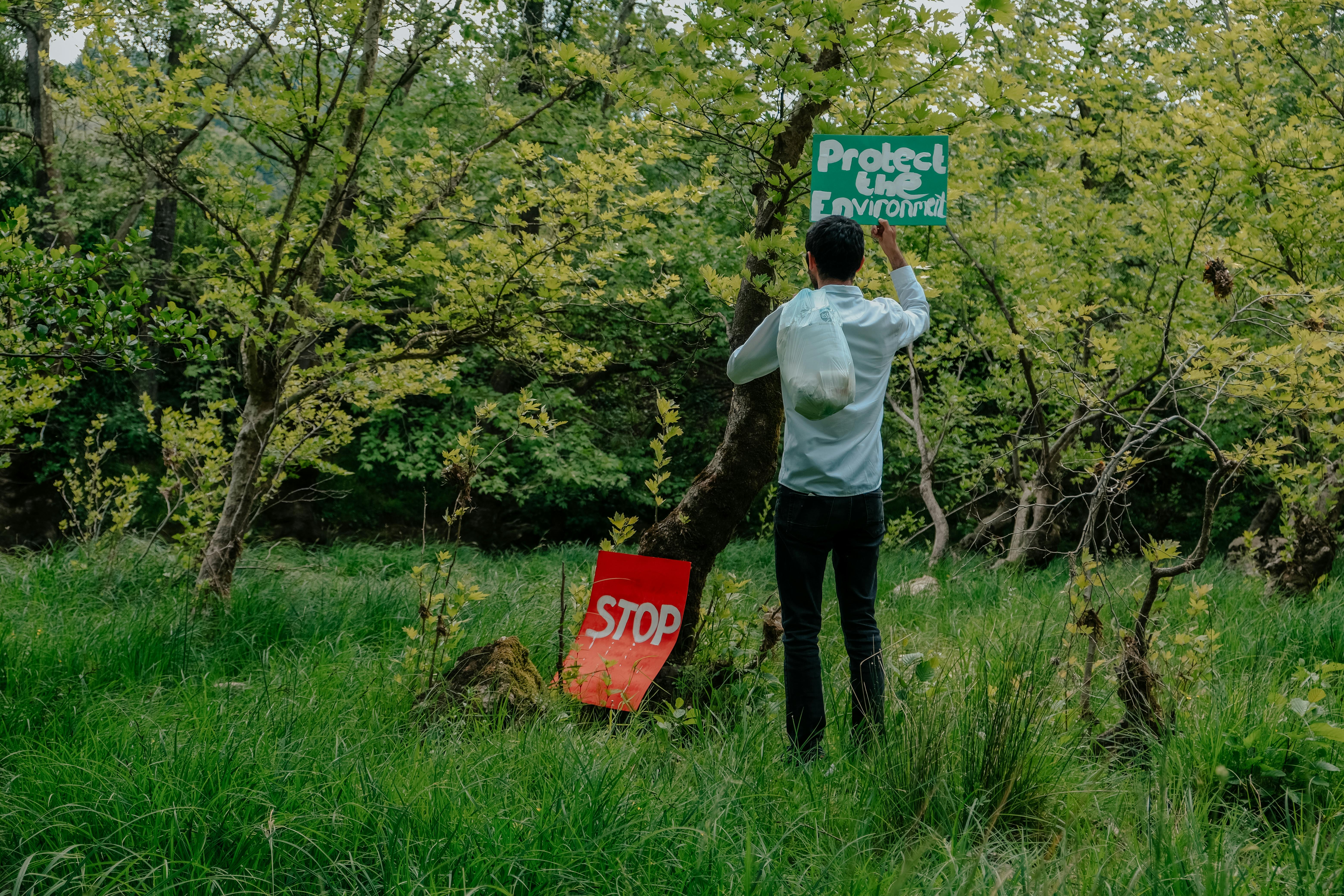 A man places a 'Protect the Environment' sign in a lush green forest.