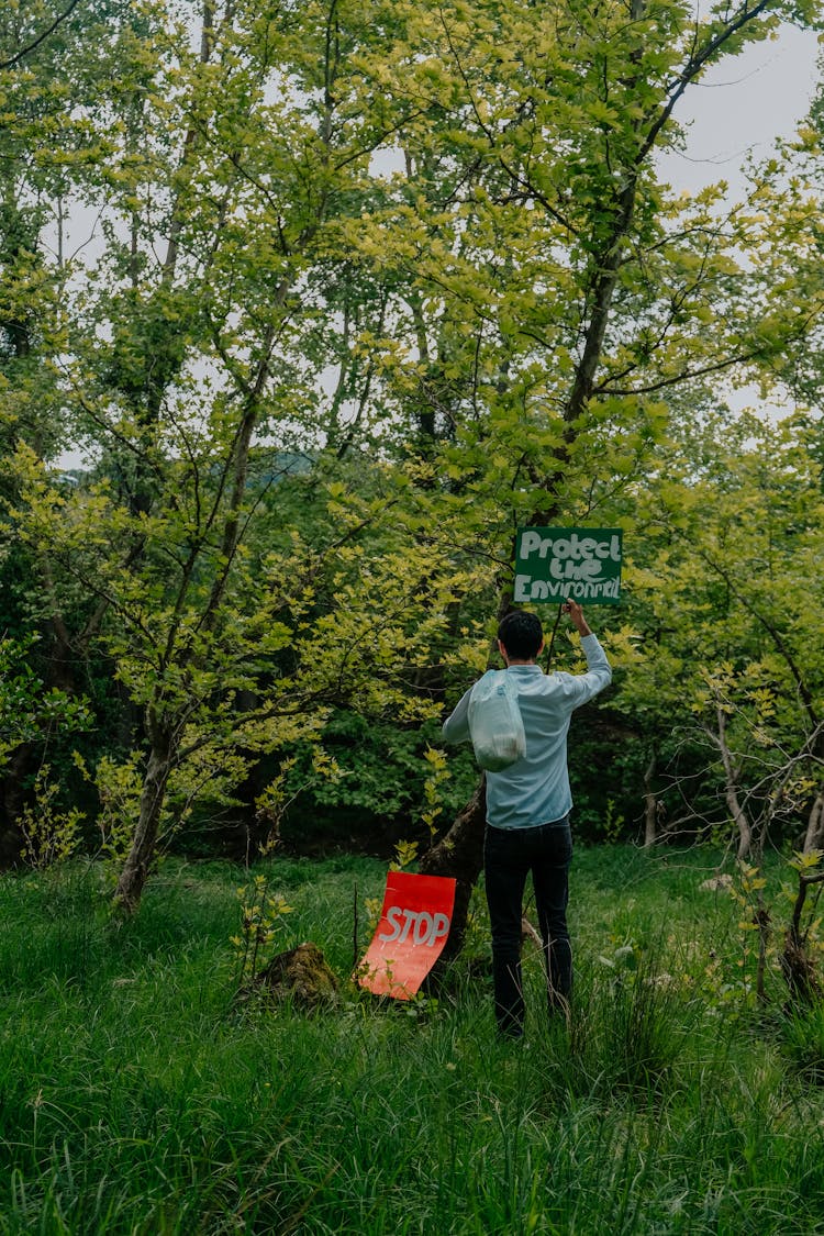 A Man Standing Near A Tree Holding A Poster