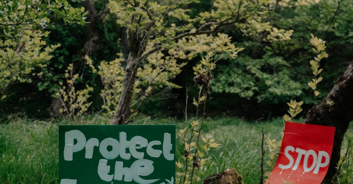 The influence of the Love Canal movement on environmental protection laws The influence of the Love Canal movement on environmental protection laws