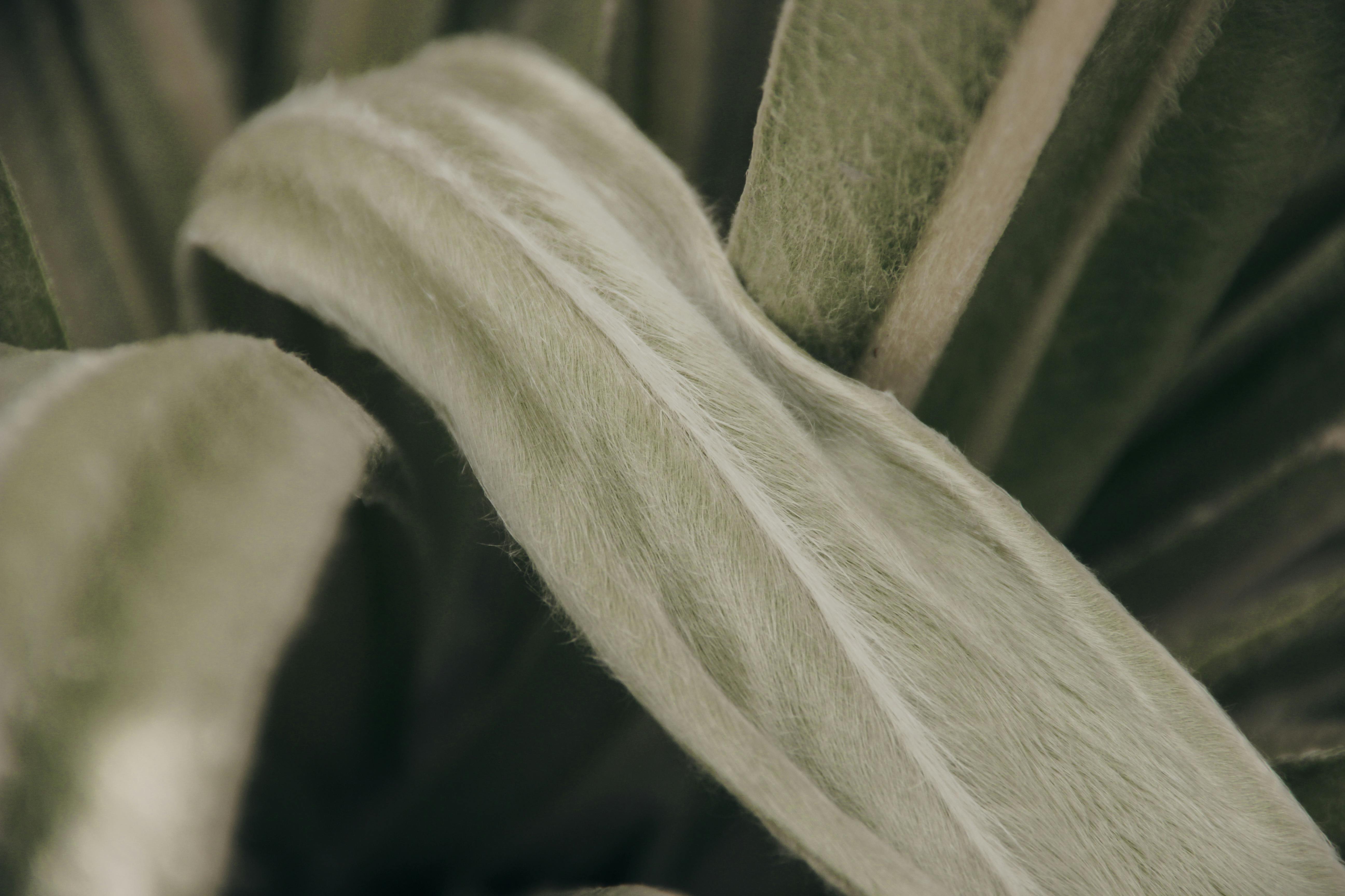 Does fiber fix bloating?