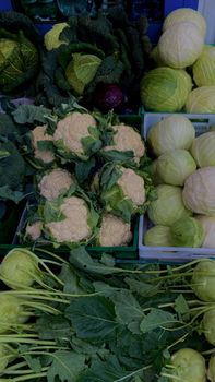 A vibrant assortment of fresh cabbages, cauliflowers, and kohlrabi at a market.