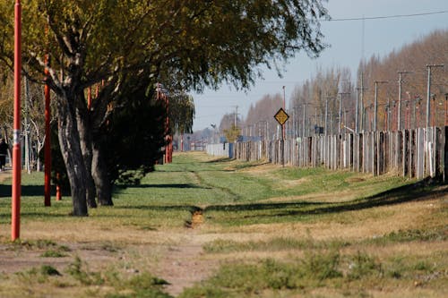 Green Grass Near the Railway