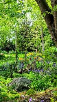 A vibrant garden scene with lush greenery and colorful spring flowers, perfect for nature-inspired designs.