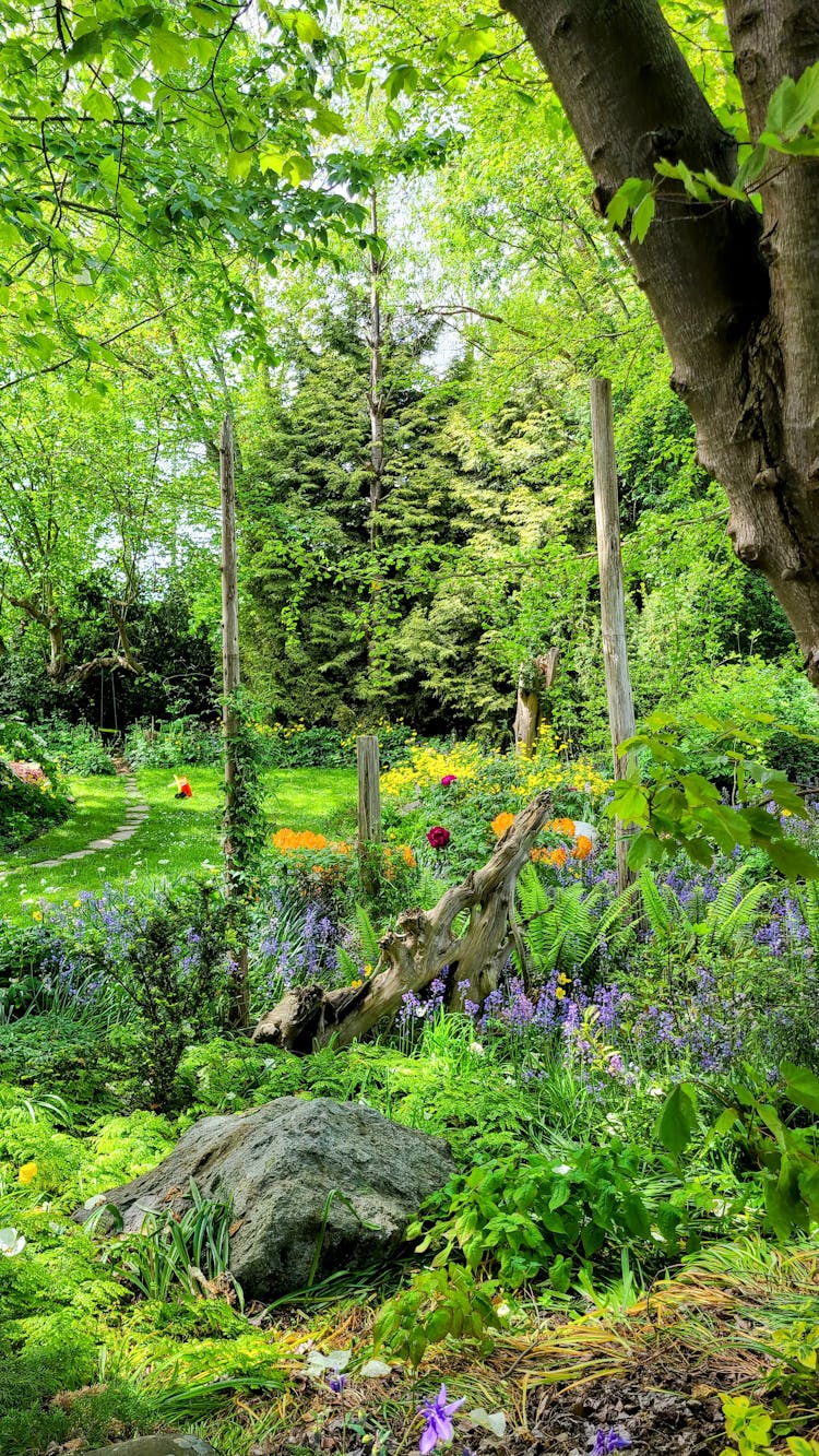 Trees And Flowers In Park