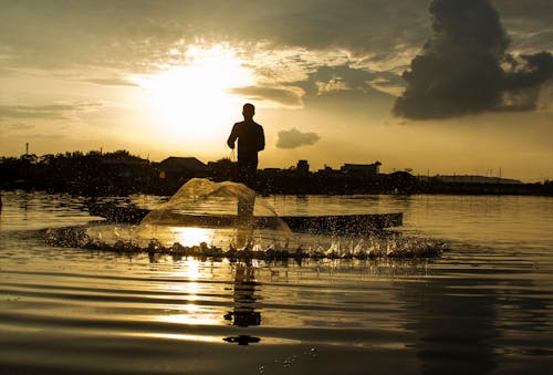 Free stock photo of nature, people, sun