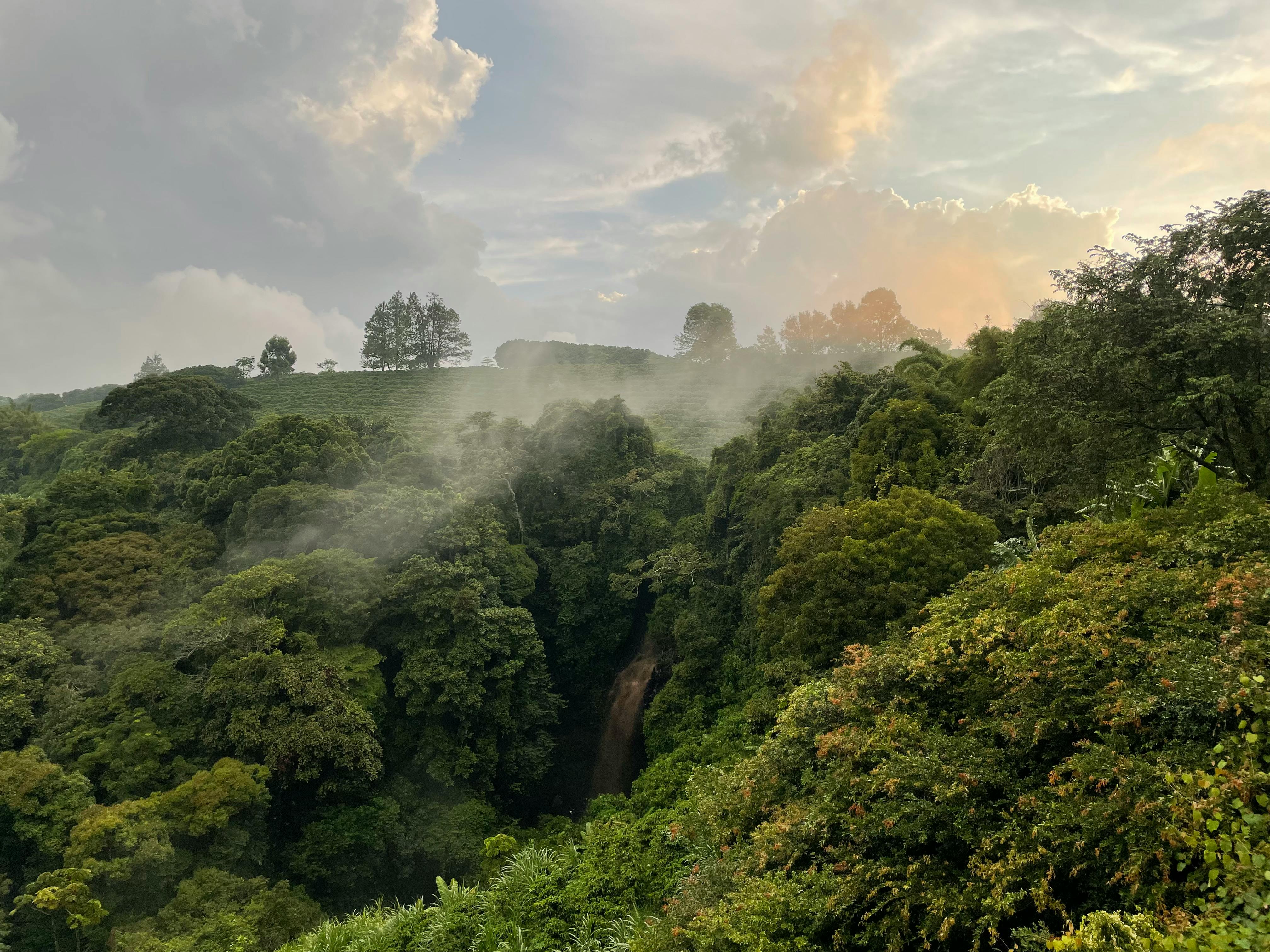 Best of Rwanda - Image 2