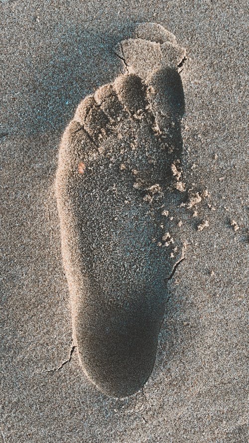 Free Foot Prints on Brown Sand Stock Photo