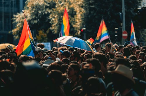 Free People Gathering in a Event With Flags Stock Photo