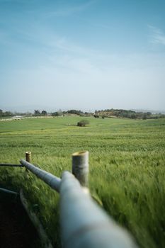 Peaceful pastoral scene with green fields and blue sky, ideal rural landscape.