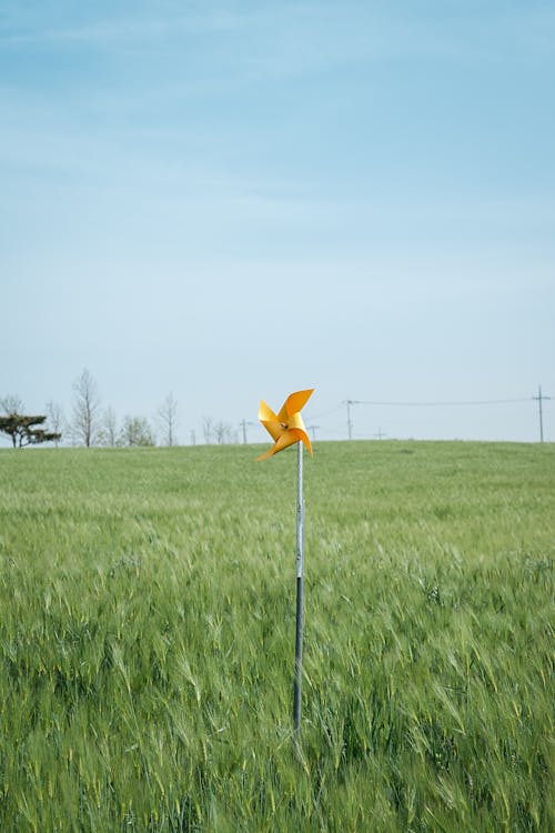 Ein Gelbes Windrad Auf Der Wiese