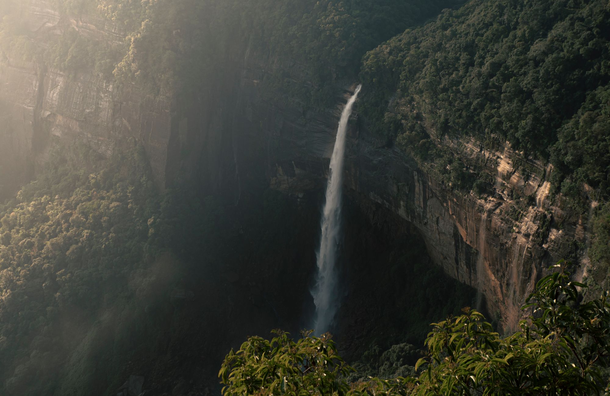 Meghalaya — Mist, waterfalls, and bridges grown from roots.