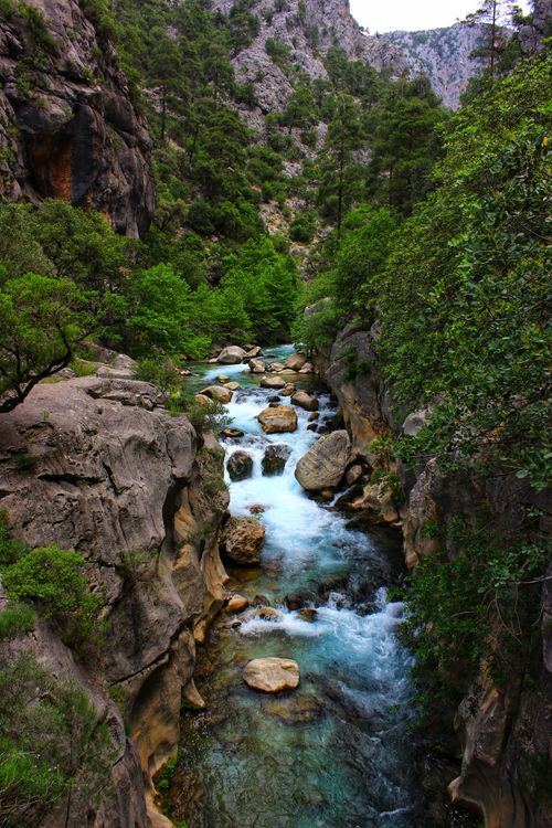 Free Stunning aerial shot of a river flowing through a rocky forest gorge surrounded by lush green trees. Stock Photo