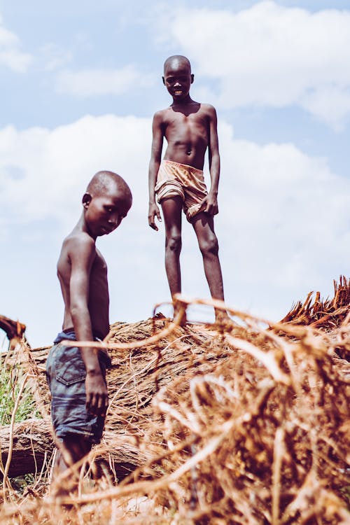 Photos gratuites de afrique, enfants, jeune