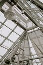 Green House