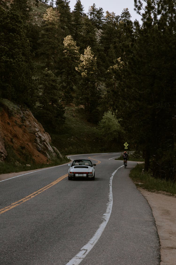 A Moving Car And Bike On The Road Near The Trees