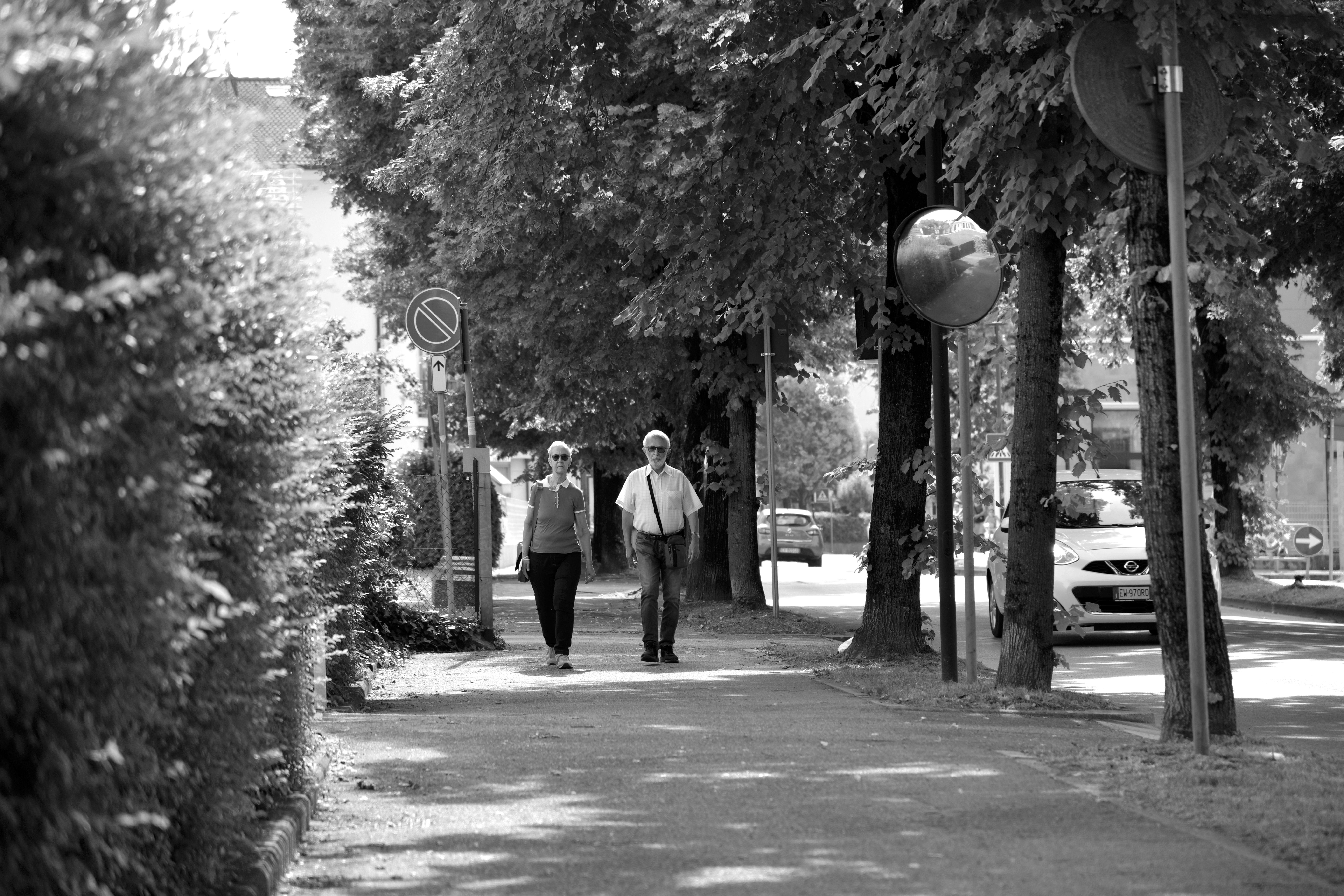 A senior couple walks together down a tree-lined path in Abano Terme, Italy, exuding warmth and companionship.