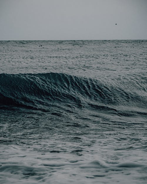 Foto profissional grátis de corpo d'água, excepcional, litoral