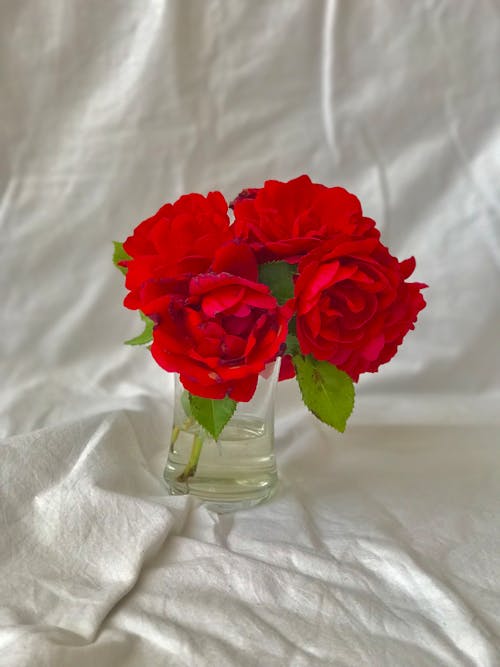 Red Flowers on Glass Vase