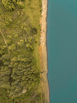 Aerial photograph showcasing a serene forest bordering a vivid blue lake in England.