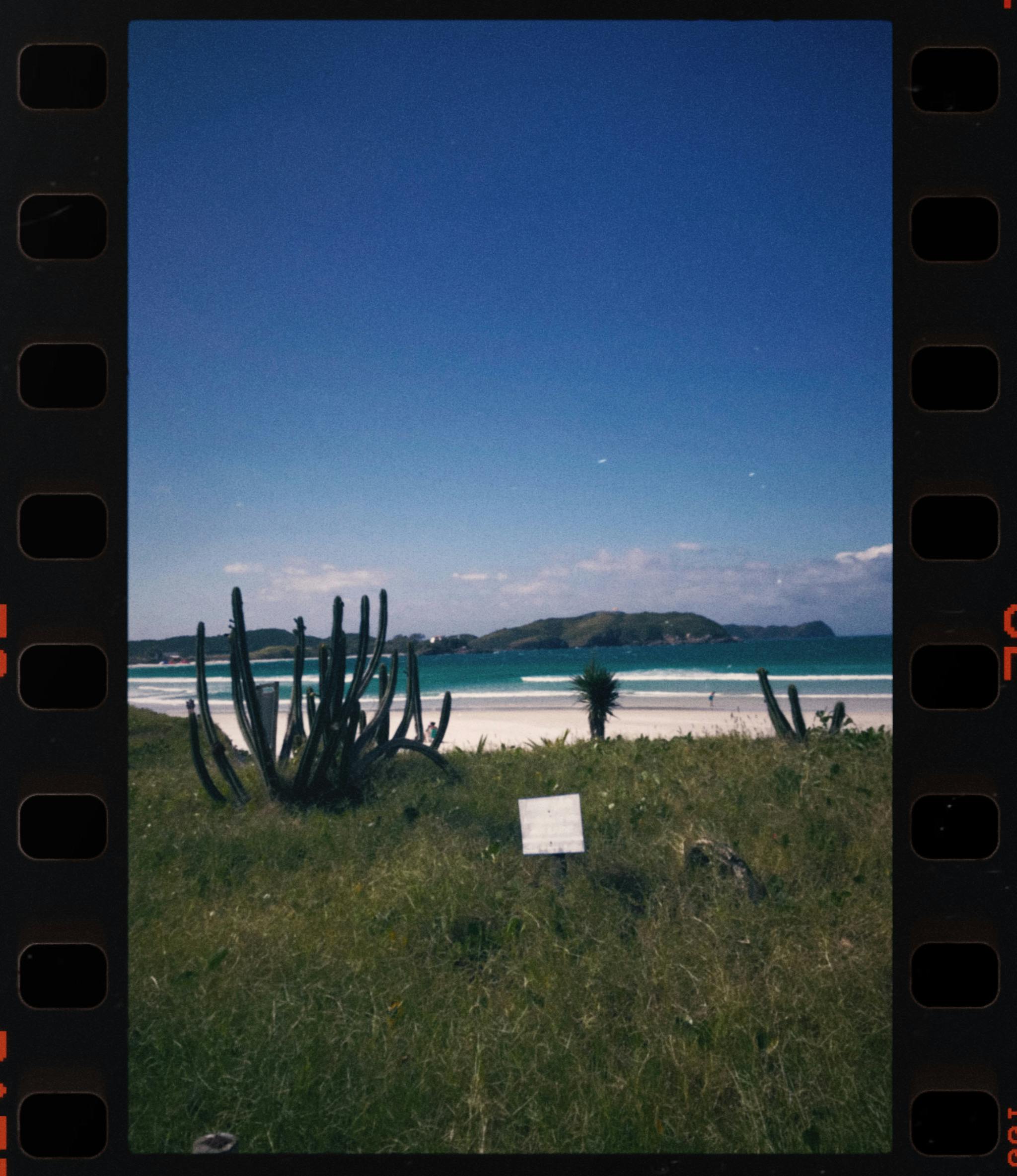 Film Reel with a View of a Meadow, Beach and Mountains · Free
