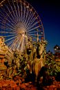 Brown and White Ferris Wheel Under Blue Sky